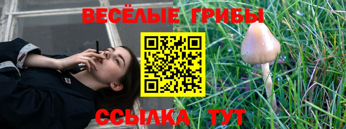 Симферополь  Галлюциногенные грибы Psilocybe  купить наркоту  Вход с VPN 